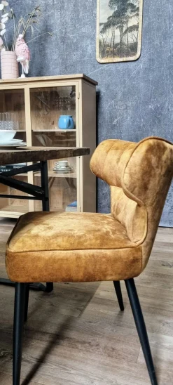 Esstischstuhl Esszimmerstuhl Zinno Gold-Braun