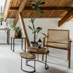 Esszimmerstuhl Armlehnstuhl Nova Teak Rattan Wiener Geflecht