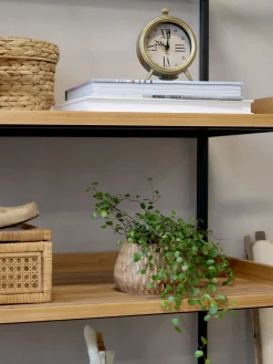 Französisches Standregal Hochregal Bücherregal Raphaël Vintage 6 Holzböden 210/100