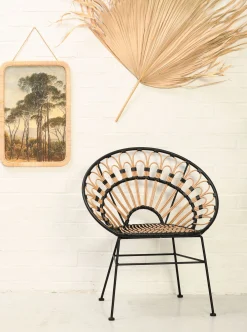 Rattanstuhl Esszimmerstuhl Hacienda PE-Rattan Peacock In/Outdoor Black/Natur