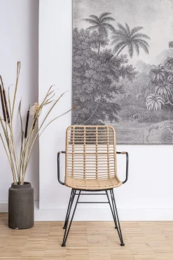 Rattanstuhl Esszimmerstuhl Hacienda Vela PE-Rattan Armlehne In/Outdoor Natur