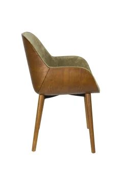 Retro Esszimmerstuhl Armlehnstuhl Taylor Holz Grün