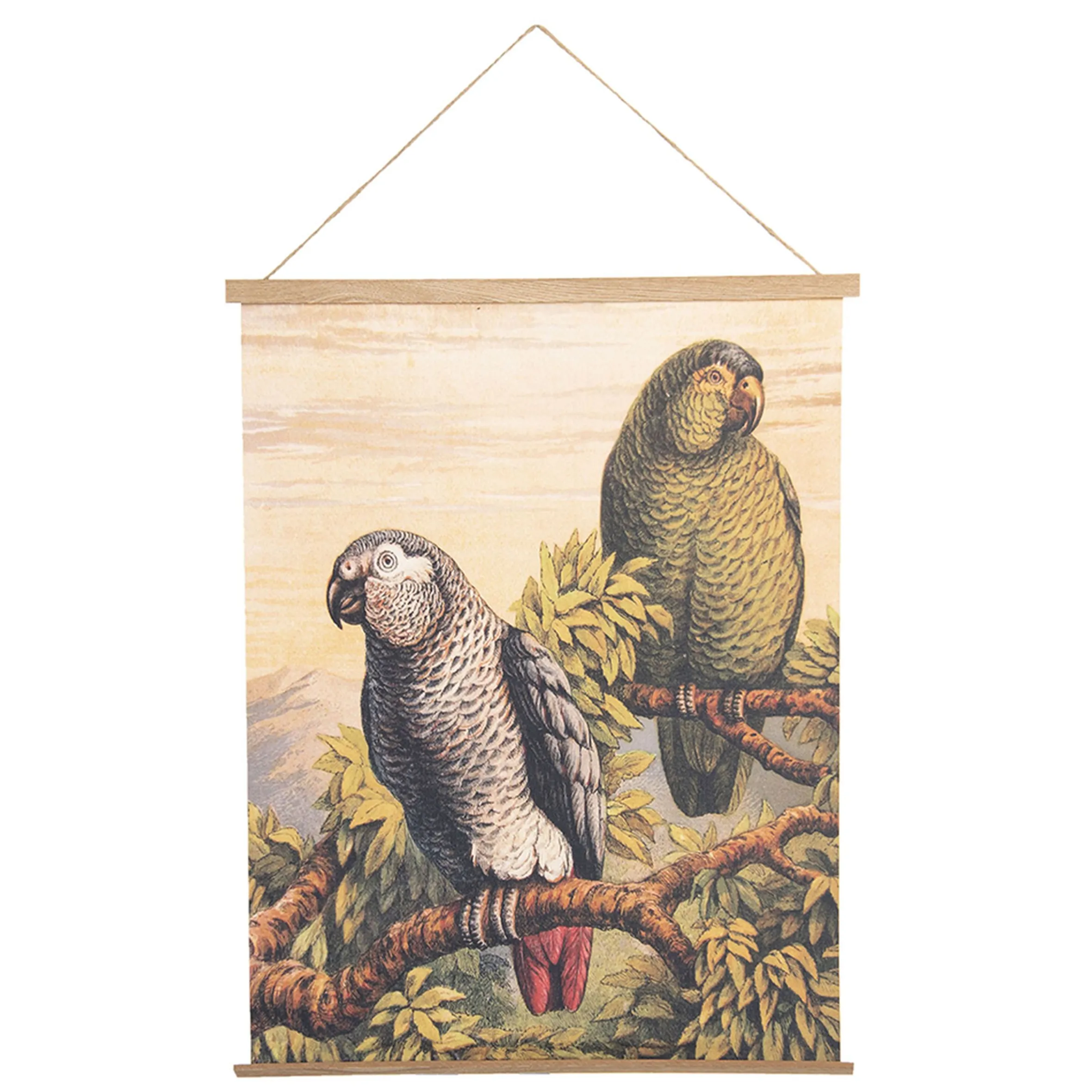 Vintage Leinwandbild Papageien Faunadruck 65/50 cm