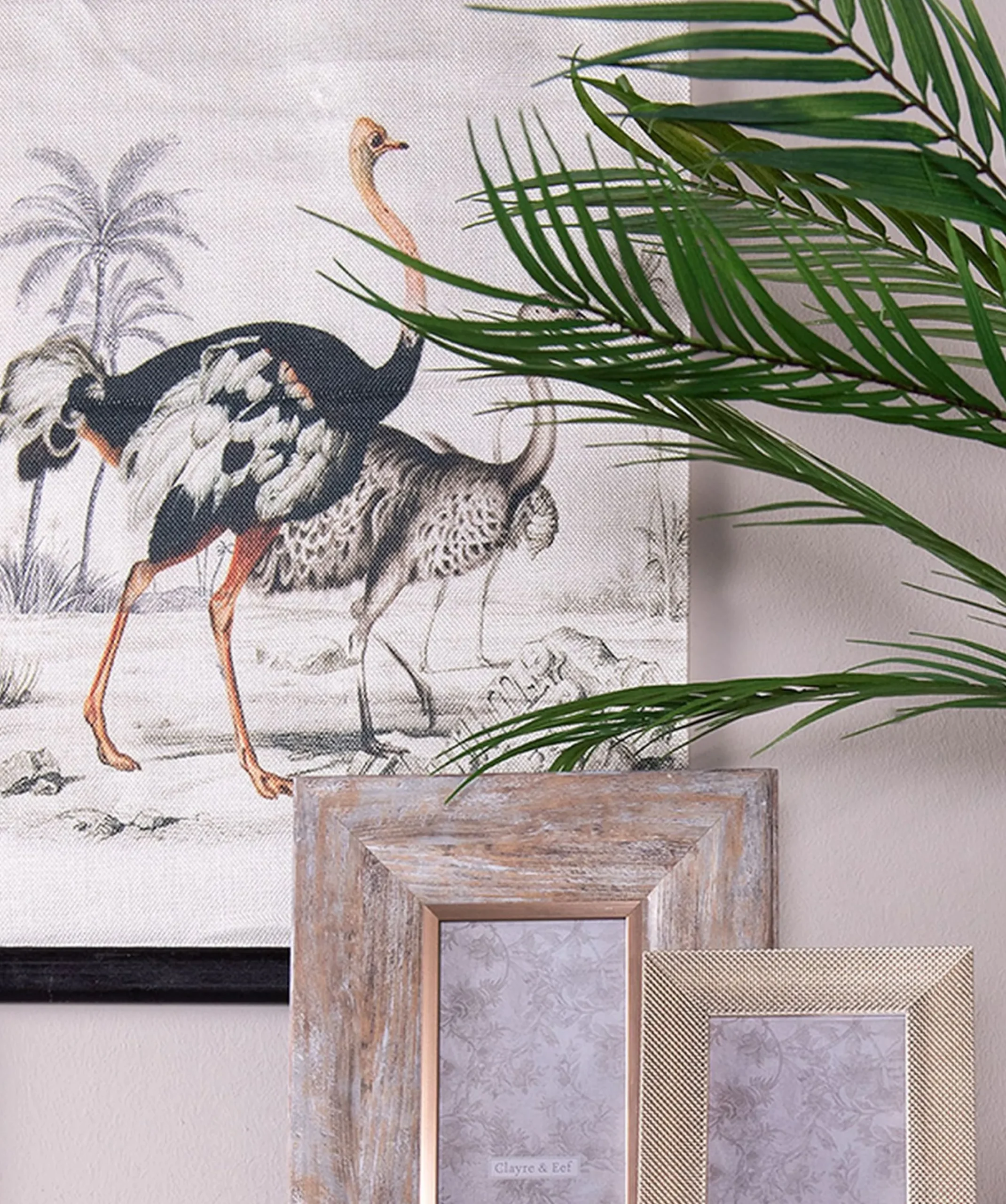 Vintage Leinwandbild Vogel Strauß Faunadruck 60/40 cm